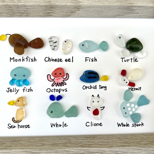 ☆シーグラスアート☆ No.22☆『図鑑シリーズ。海の生き物達』4