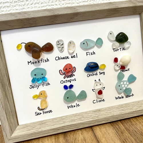 ☆シーグラスアート☆ No.22☆『図鑑シリーズ。海の生き物達』4