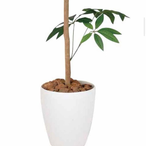 光触媒 人工観葉植物 フェイクグリーン パキラトピアリー1.2m 【公式通販】