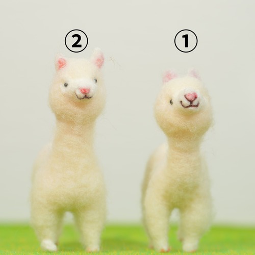羊毛フェルト アルパカ（大） 2種 置物 羊毛フェルト toiro 通販