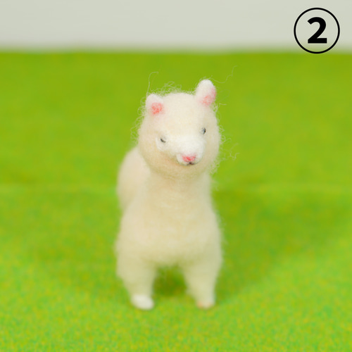 羊毛フェルト アルパカ（大） 2種 置物 羊毛フェルト toiro 通販