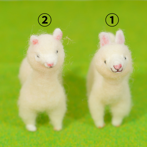 羊毛フェルト アルパカ（大） 2種 置物 羊毛フェルト toiro 通販
