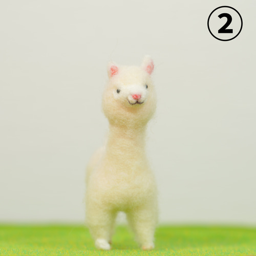 羊毛フェルト アルパカ（大） 2種 置物 羊毛フェルト toiro 通販