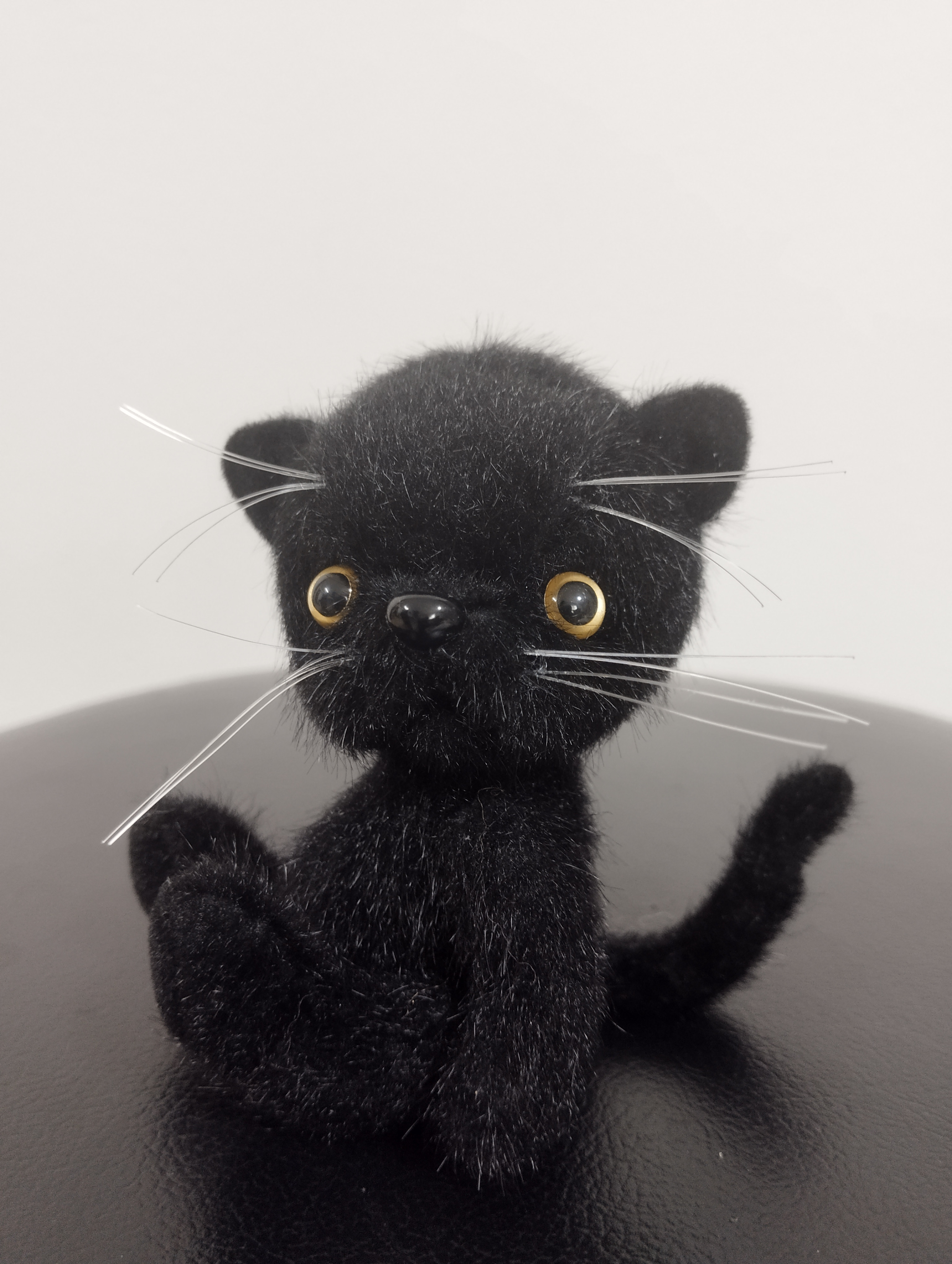 黒猫ちゃん　おめでとう