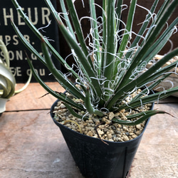 fc14f5db48b13b5074a5c364eb42e7