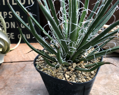 fc14f5db48b13b5074a5c364eb42e7