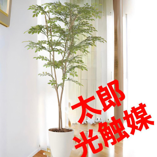 光触媒　人工観葉植物　ウォールグリーン　フェイクグリーン　ツートントネリコ1.6 光触媒人工観葉植物ウォールグリーンフェイクグリーンツートン