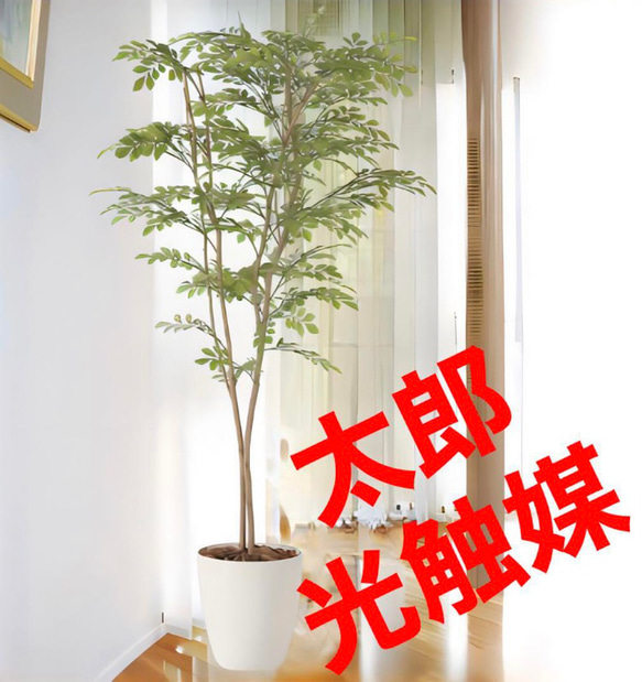 光触媒 人工観葉植物 ウォールグリーン フェイクグリーン ツピタンサス