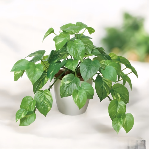 光触媒 人工観葉植物 ウォールグリーン フェイクグリーン フレッシュ