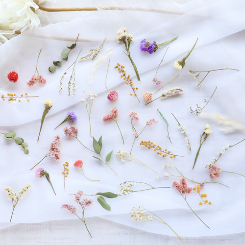 花材】繊細！ドライフラワーアソート 茎付き ＊4〜8cm 結婚式・席札