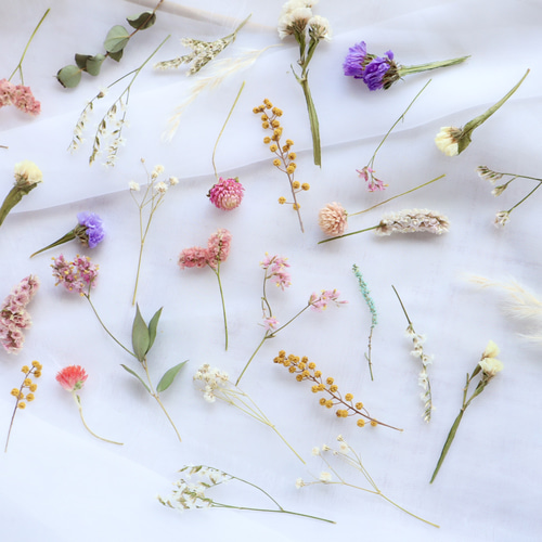 花材】繊細！ドライフラワーアソート 茎付き ＊4〜8cm 結婚式・席札