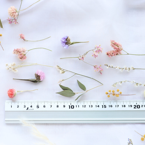 花材】繊細！ドライフラワーアソート 茎付き ＊4〜8cm 結婚式・席札
