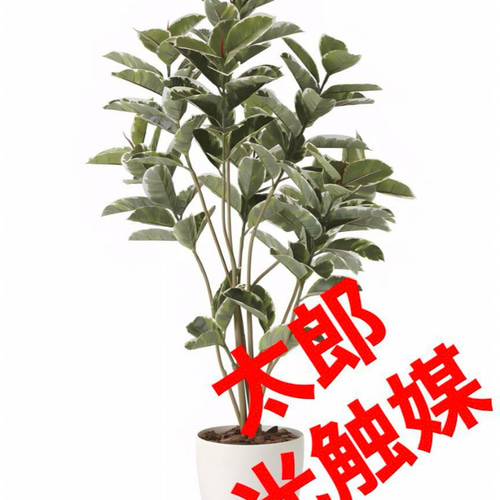 光触媒 人工観葉植物 ウォールグリーン フェイクグリーン