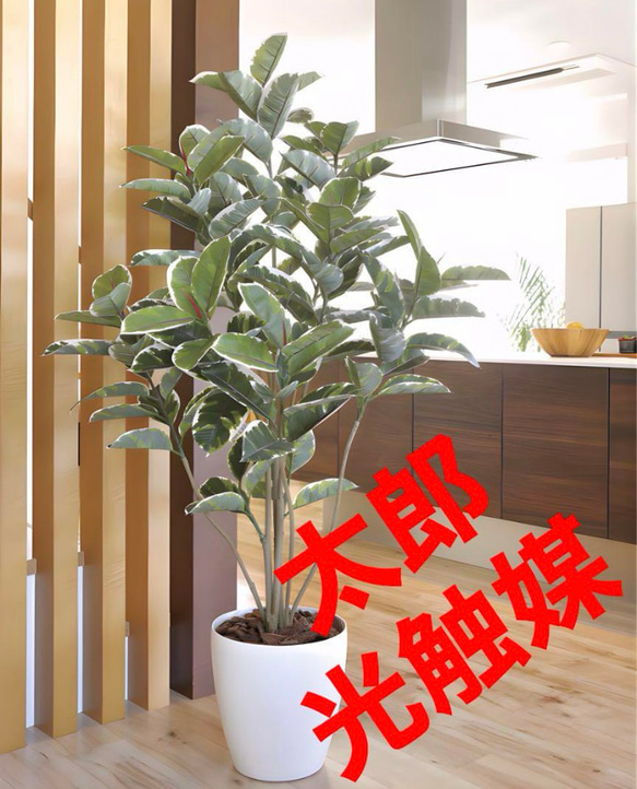 光触媒　人工観葉植物　ウォールグリーン　フェイクグリーン　アルテシマＤＸ　1.6 光触媒 人工観葉植物 ウォールグリーン フェイクグリーン