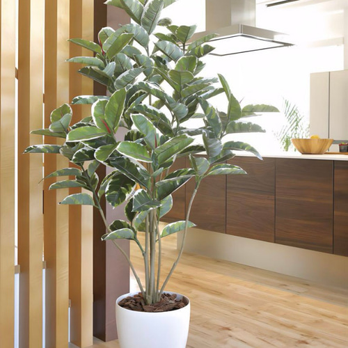 光触媒　人工観葉植物　ウォールグリーン　フェイクグリーン　アルテシマＤＸ　1.6 光触媒 人工観葉植物 ウォールグリーン フェイクグリーン