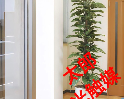 光触媒　人工観葉植物　フェイクグリーン　ジャイアントポトス高さ180センチd 8c81606c869c9b5655df46584b9892