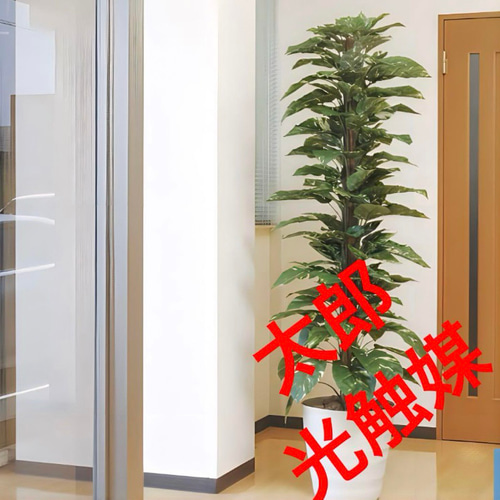 光触媒　人工観葉植物　ウォールグリーン　フェイクグリーン　トネリコ180 光触媒人工観葉植物ウォールグリーンフェイクグリーントネリコ180