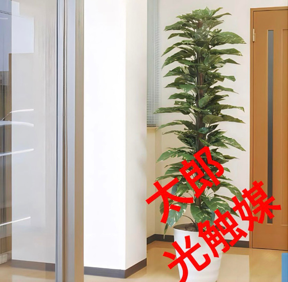 光触媒 人工観葉植物 フェイクグリーン ジャイアントポトス高さ180