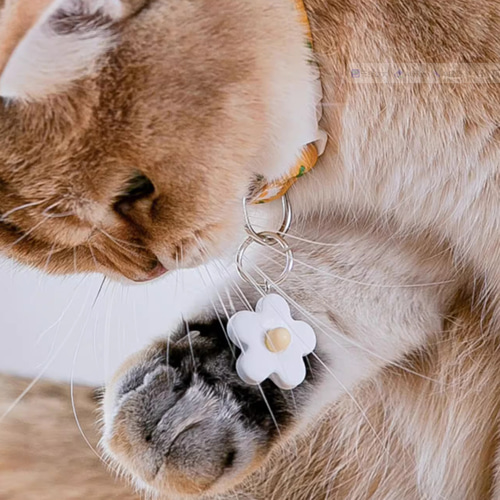 オーダーメイド 猫・小型犬などペット用の首輪 犬猫用アクセサリー  