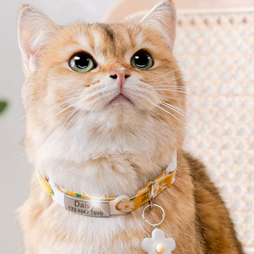 オーダーメイド 猫・小型犬などペット用の首輪 犬猫用アクセサリー  