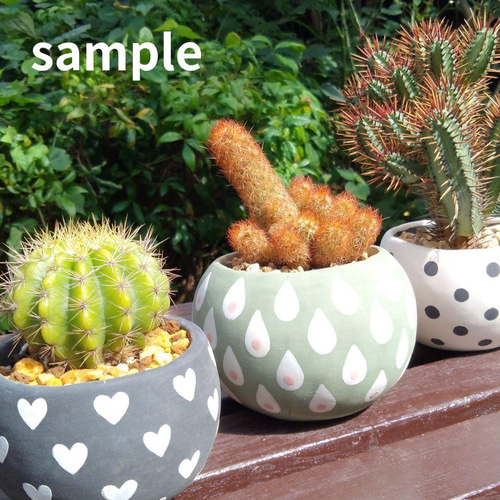 POTOCO 植物鉢 陶器 植木鉢 多肉 鉢 サボテン コーデックス 和物 盆栽