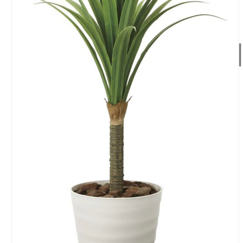 光触媒 人工観葉植物 フェイクグリーン ドラセナ 高さ 1.8m