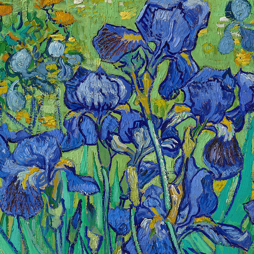 アイリスのボタニカルアートの画集から、1964年 (花 絵 植物画 アイリスのボタニカルアートの画集から、1964年 (花 絵 植物画