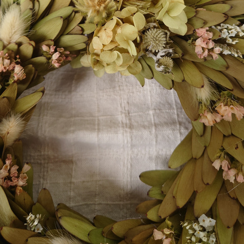 リューカデンドロンとスターチスのリース ドライフラワー FLOWERSTORY