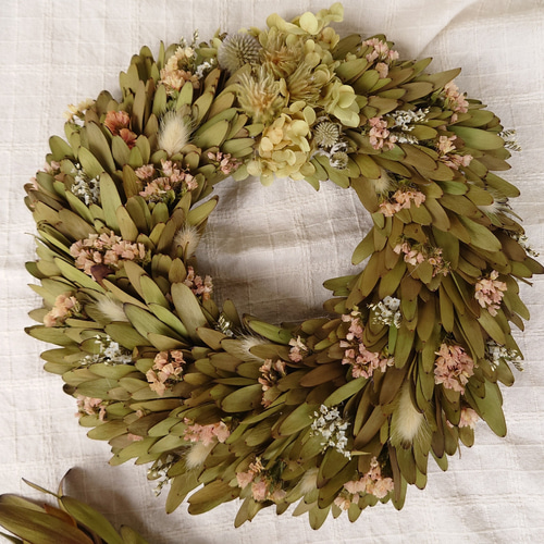 リューカデンドロンとスターチスのリース ドライフラワー FLOWERSTORY