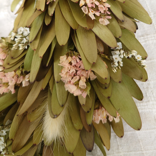 リューカデンドロンとスターチスのリース ドライフラワー FLOWERSTORY