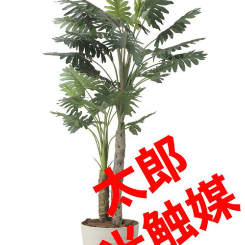 光触媒　人工観葉植物　ウォールグリーン　フェイクグリーン　セローム1.0 光触媒 人工観葉植物 ウォールグリーン フェイクグリーン