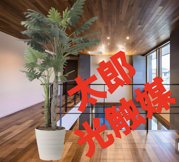 光触媒　人工観葉植物　ウォールグリーン　フェイクグリーン　セロームw1.8