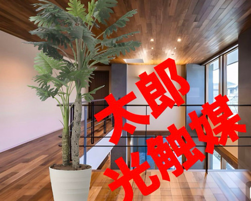 光触媒　人工観葉植物　ウォールグリーン　フェイクグリーン　セロームw1.8 光触媒 人工観葉植物 ウォールグリーン フェイクグリーン セロームw1.8