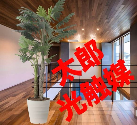 光触媒　人工観葉植物　ウォールグリーン　フェイクグリーン　セロームw1.8 光触媒 人工観葉植物 ウォールグリーン フェイクグリーン