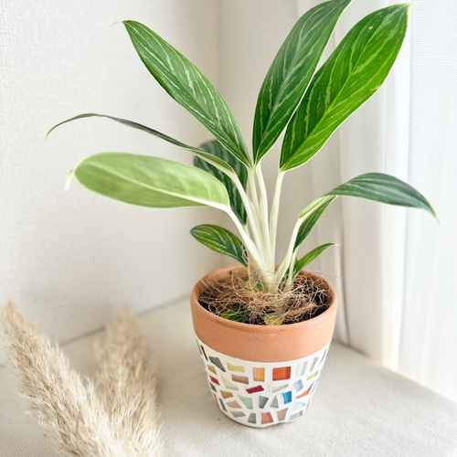 おしゃれ植木鉢13点＋フラワーベース1点 鉢・プランター
