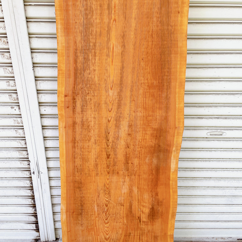 天然無垢板杉 一枚板デスク/カウンターテーブル/棚板/天板