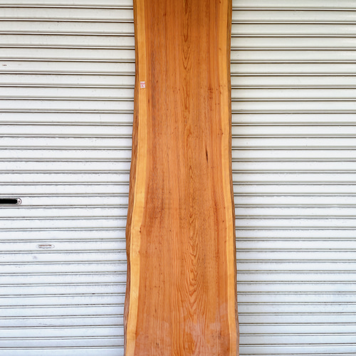 天然無垢板　杉 一枚板　デスク/カウンターテーブル/天板/ダイニングテーブル 杉/スギ 1600x470x40mm 天然木バーテーブル・カウンターデスク天