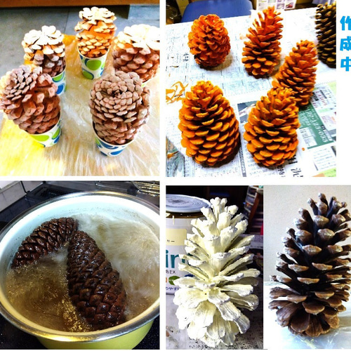 松ぼっくりリース 大王松の松かさ飾り ウォールデコ 「ピンキー