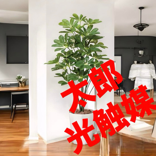 光触媒　人工観葉植物　ウォールグリーン　フェイクグリーン　シェフレラ90 光触媒 人工観葉植物 ウォールグリーン フェイクグリーン