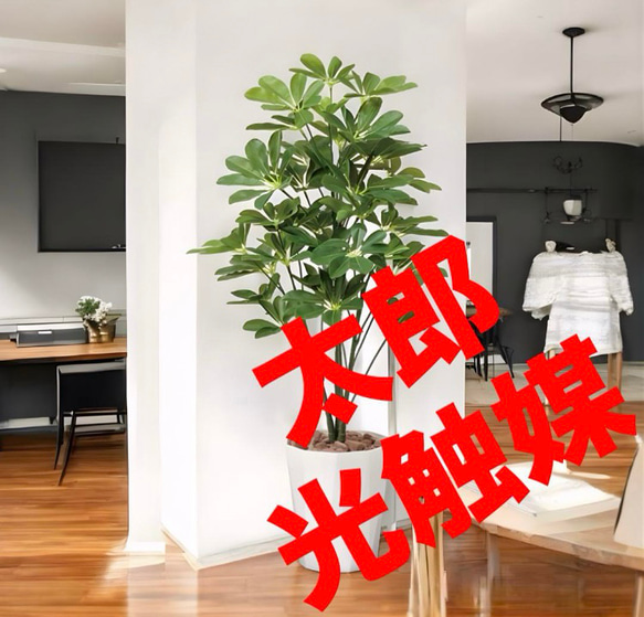 光触媒　人工観葉植物　ウォールグリーン　フェイクグリーン　シェフレラ90 光触媒 人工観葉植物 ウォールグリーン フェイクグリーン