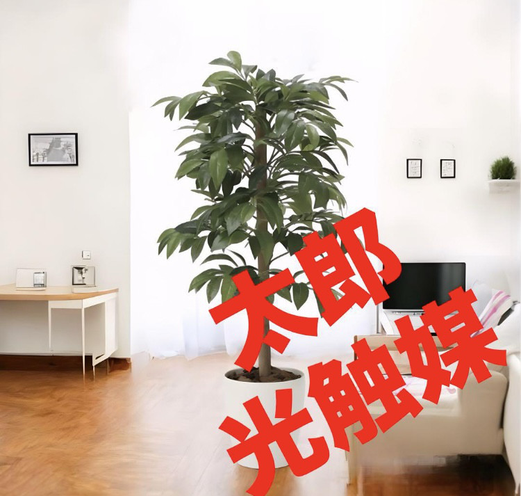 光触媒　人工観葉植物　フェイクグリーン　アルデシア(万両) 90cm