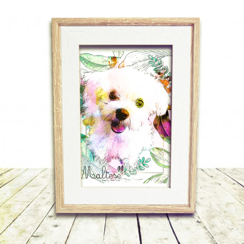 マルチーズ 犬 イラストインテリア アート インテリア雑貨