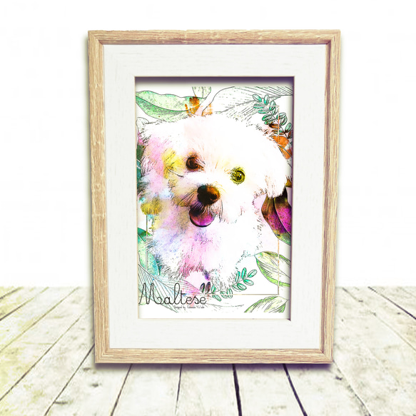 マルチーズ ペット 犬 動物 原画 アート 絵画 画家 インテリア