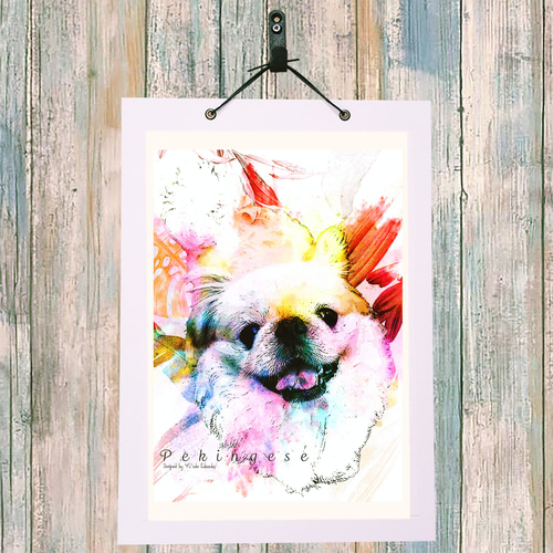 ペキニーズ 犬 イラストインテリア アート 動物 インテリア雑貨 ペキニーズ 犬 イラストインテリア アート 動物 インテリア雑貨