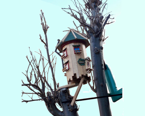 【新品】木製家型巣箱 小鳥の巣箱 Amazon.co.jp: 鳥の巣箱、鳥の巣繁殖木箱、パイン材巣箱、耐久性