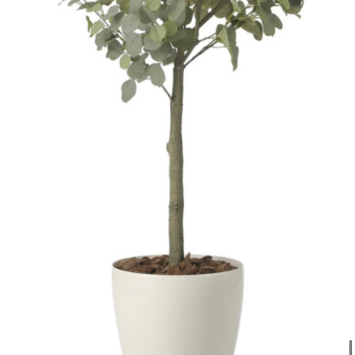 光触媒 人工観葉植物 ウォールグリーン フェイクグリーン ユーカリ