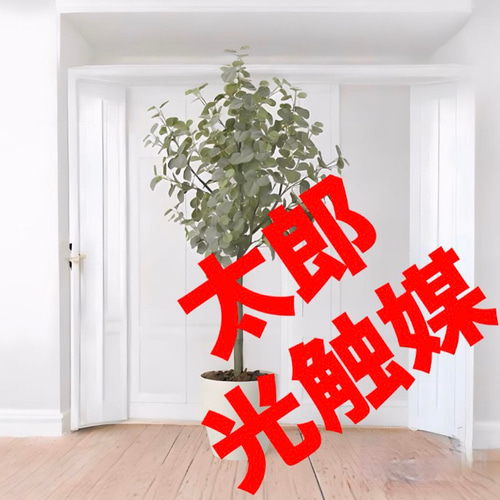 光触媒 人工観葉植物 ウォールグリーン フェイクグリーン ユーカリ  