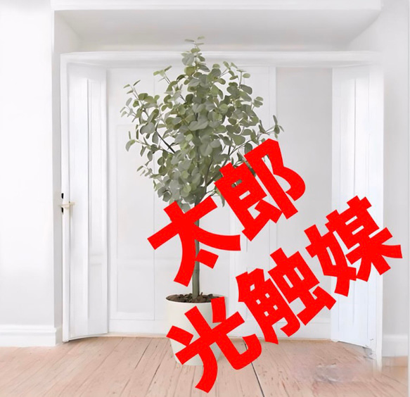 光触媒 人工観葉植物 ウォールグリーン フェイクグリーン ユーカリ