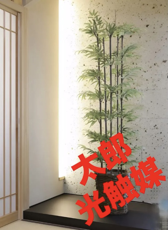 光触媒　人工観葉植物　ウォールグリーン　フェイクグリーン　黒竹 高さ 1.8ｍ