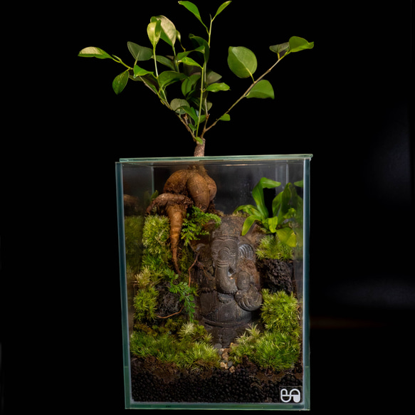 ガネーシャ石像（fromバリ島）のパルダリウム【現品１点もの】                                     神秘のパワースポット・バリ島から輸入した縁起のよい神様｢ガ SKC1960971275(14900円)